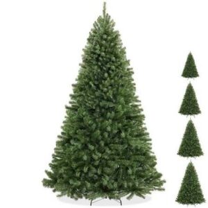 Christmas Tree Green Spruce